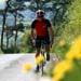 UK - Cotswolds - Classic Road Cycling Weekend Thumbnail Image