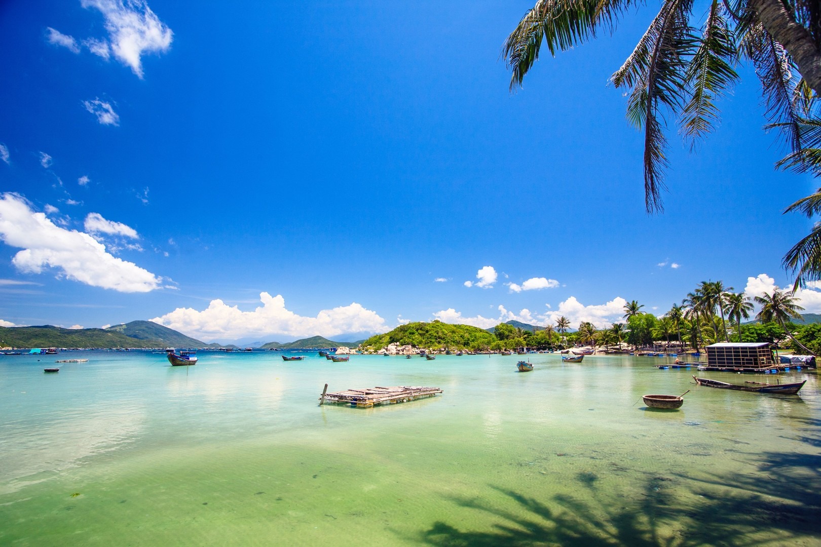 _Holiday.607.12803_full