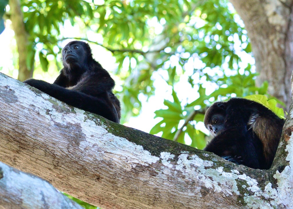 costa rica (14)