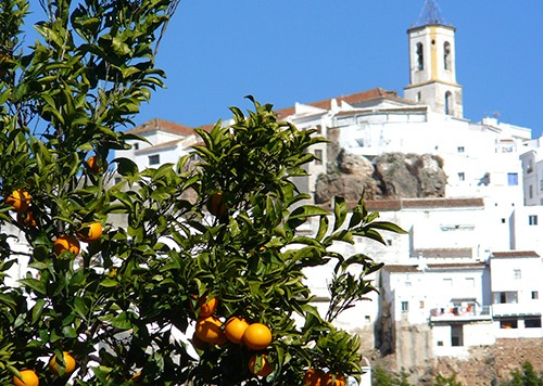 leisure-cycling-holiday-las-nieves