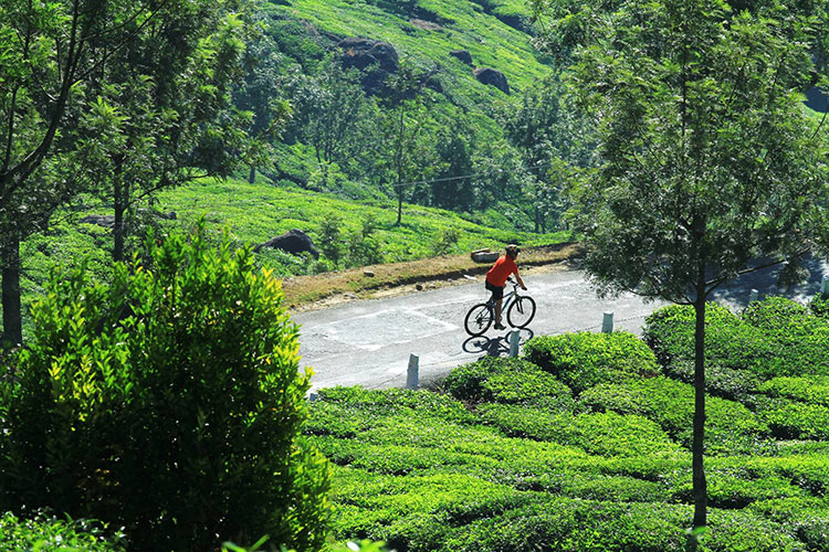 Cycling-holiday-in-india-and-sri-lanka