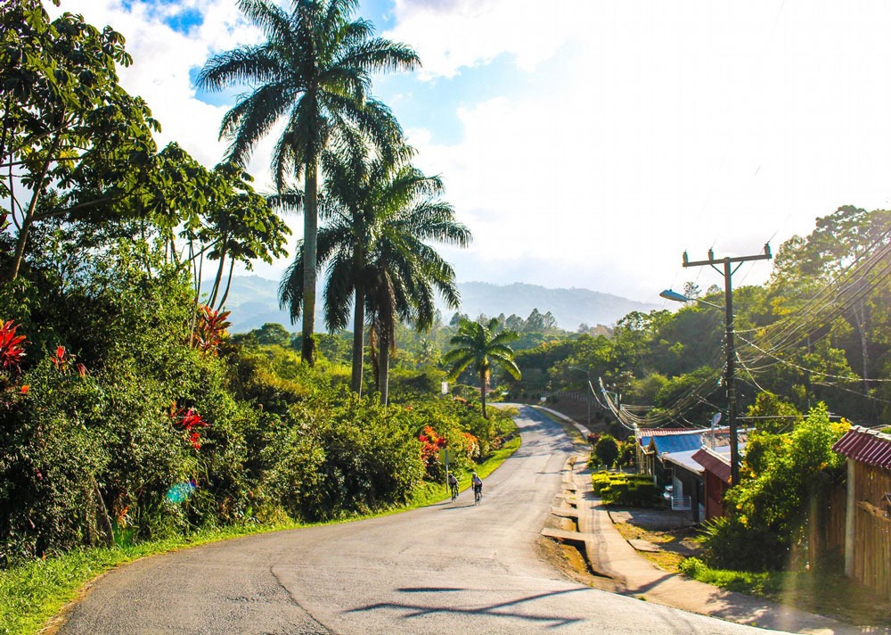 Two cyclists ascend a jungle lined road 