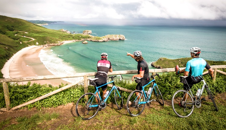 best cycle for off road