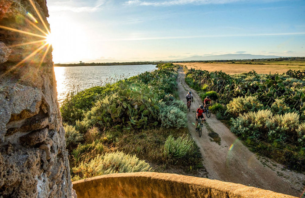 Three cyclists ride along a coastal track at sunset