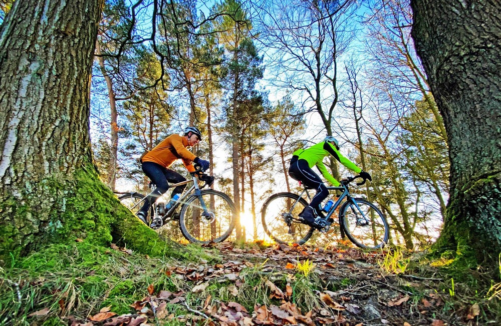 Two gravel riders traverse the trees in Northumberland