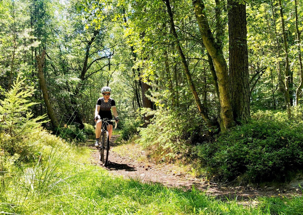 A woman rides along a forest trail in the sun