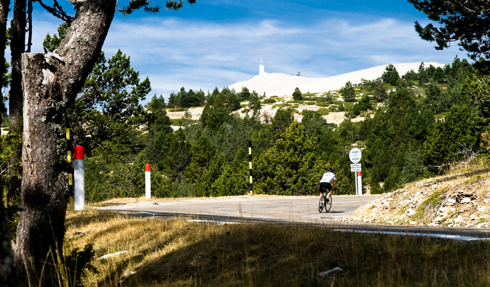 Mont Ventoux gleams white above the forest as a road cyclist pedalsl below