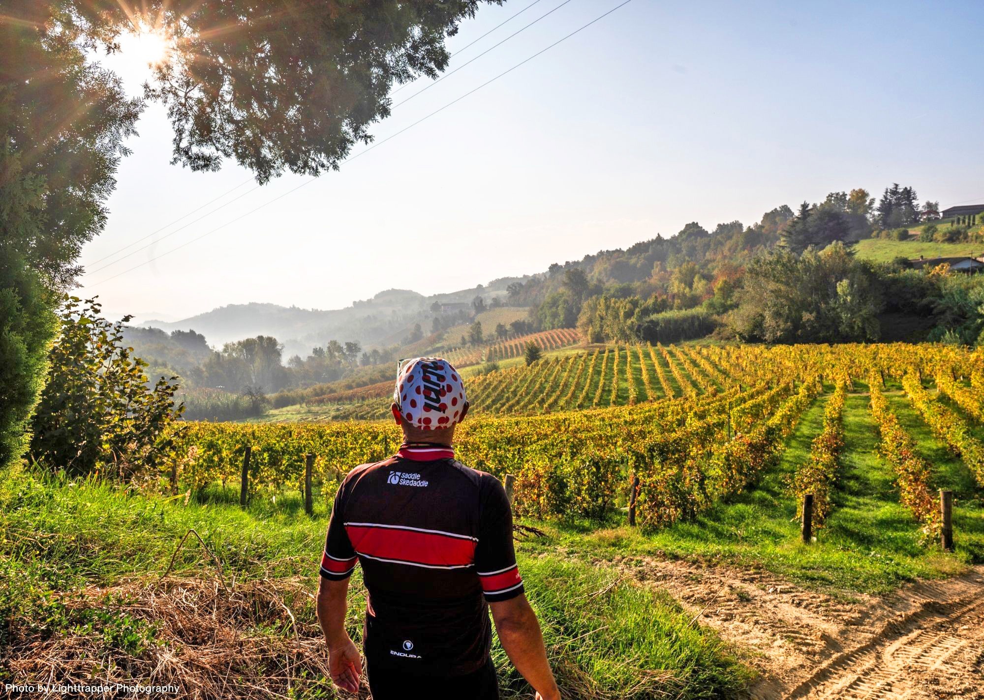 Cyclists admires a vineyard