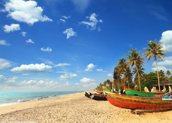 shutterstock_215705830.jpg