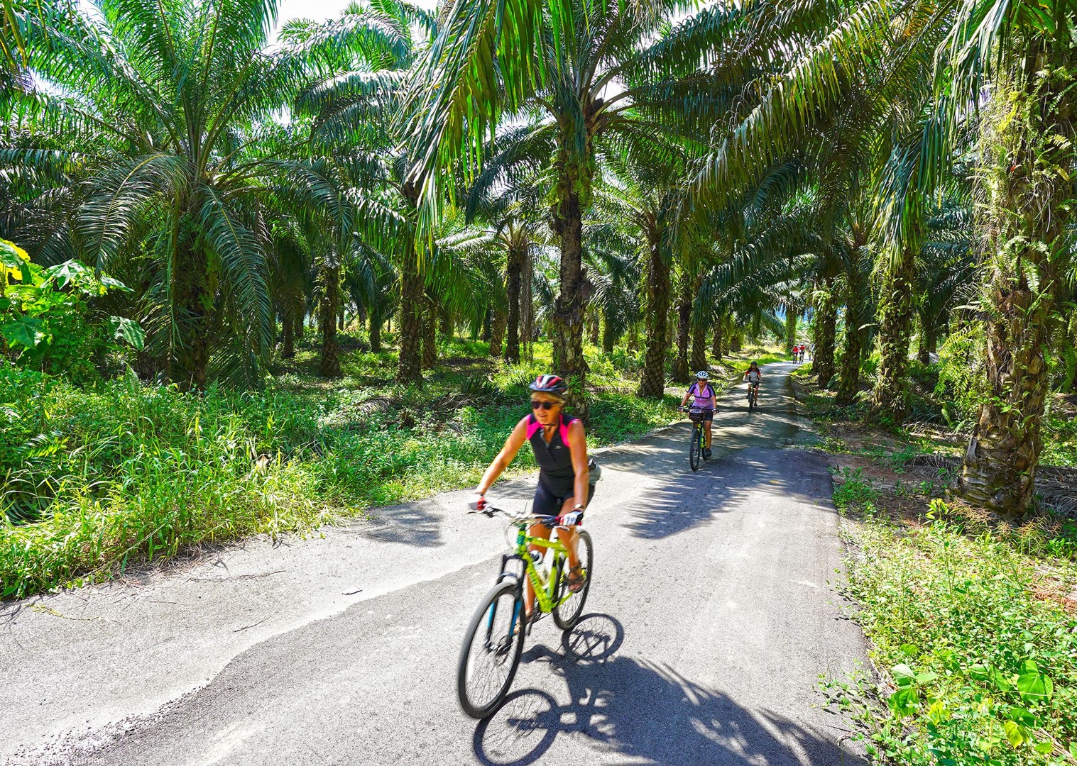 cycling holidays march 2019