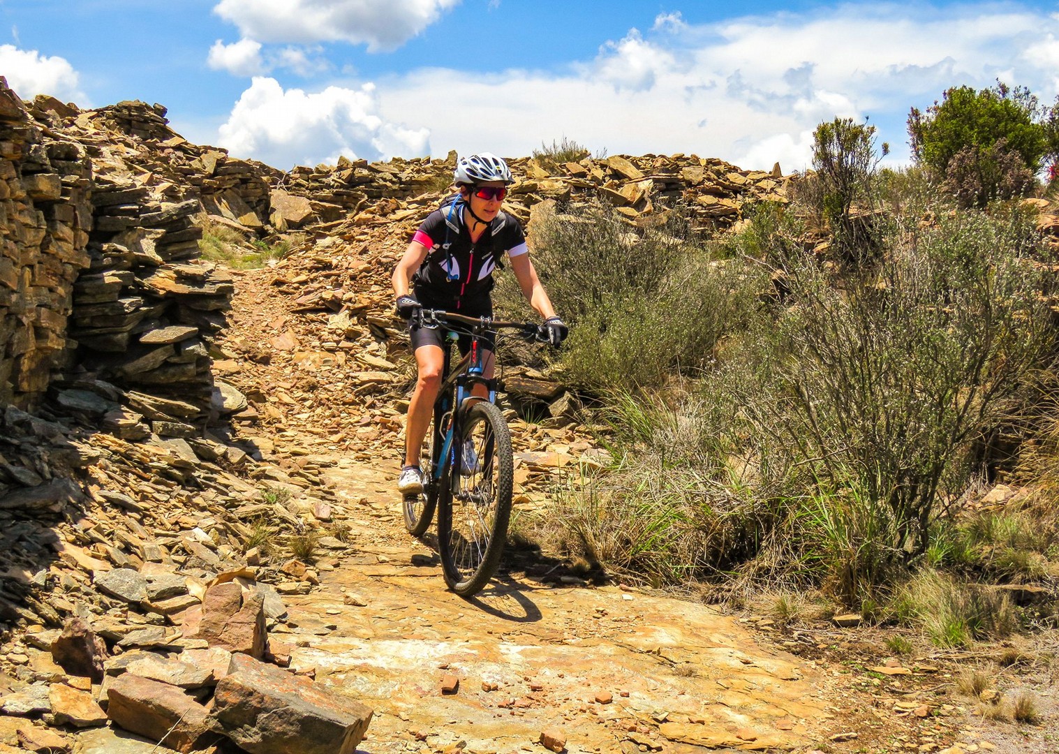 mountain bike holiday