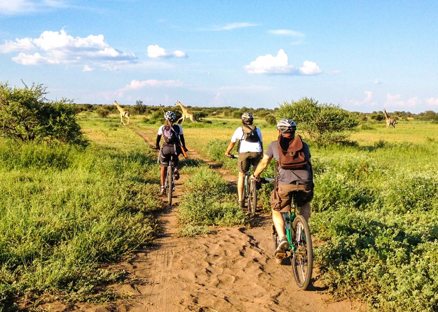 guided bike tours south africa