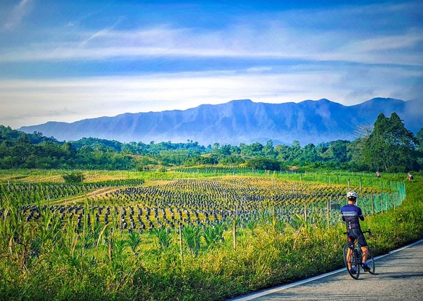 road-borneo-holiday-cycling-saddle-skedaddle-with-guides.jpg