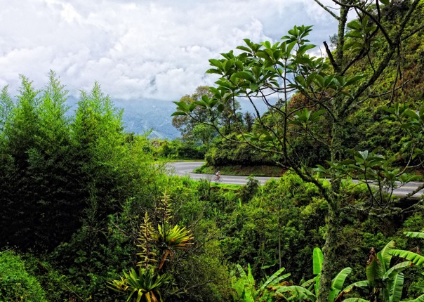 Colombia - Emerald Mountains - Guided Road Cycling Holiday Image