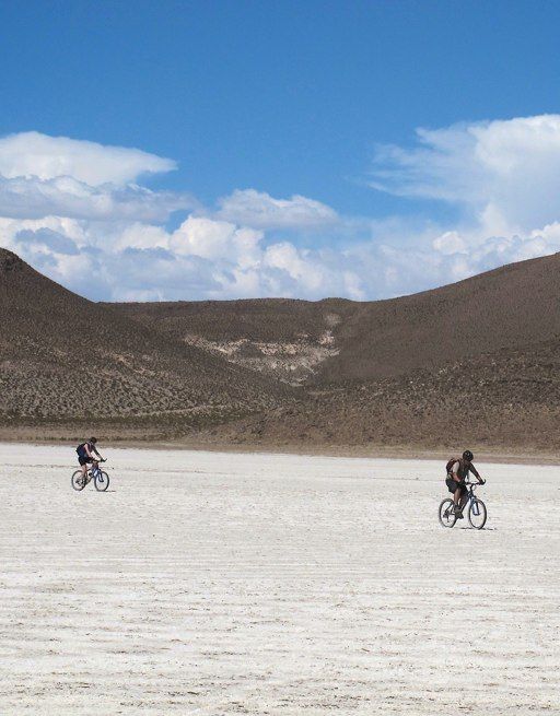Chile Altiplano - Salar de Surire 