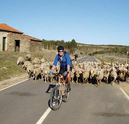 Portugal Roman Trails