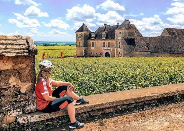 France - Vintage Burgundy - Self-Guided Leisure Cycling Holiday Image