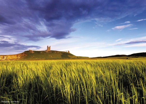 leisure-cycling-holiday-northumberland-coast.jpg