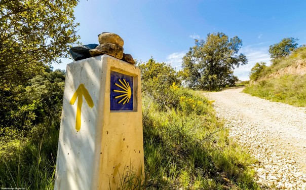 headerTanjala-Gica.jpg