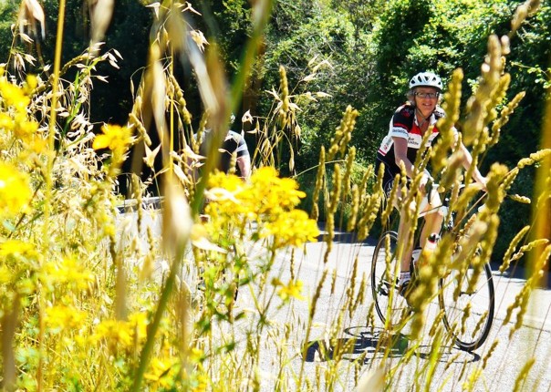 Italy - A Taste of Tuscany - Guided Leisure Cycling Holiday Image