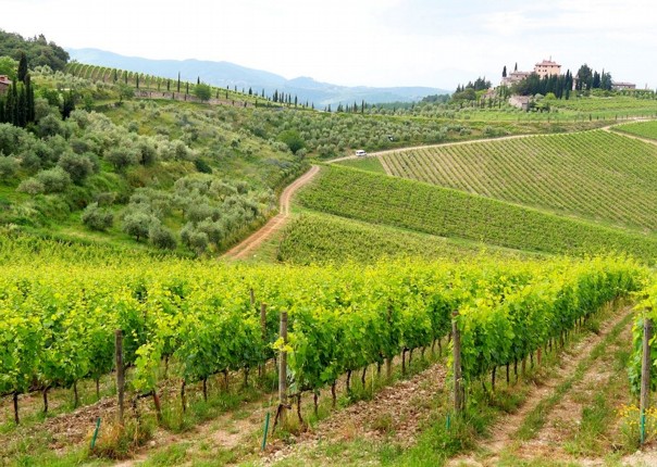 Italy - Classic Tuscany - Self-Guided Leisure Cycling Holiday Image