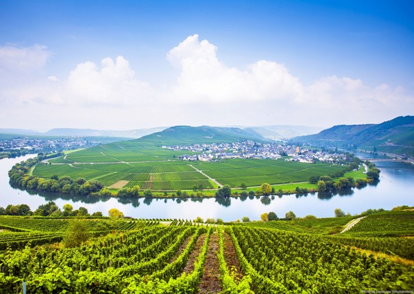 self-guided-leisure-cycling-holiday-germany-moselle-valley.jpg