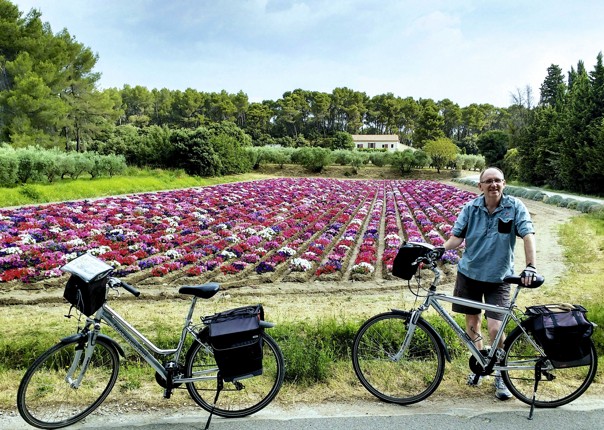 France - Provence - Self-Guided Leisure Cycling Holiday Image
