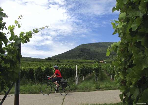 Germany and France - The Rhine Valley - Self-Guided Leisure Cycling Holiday Image