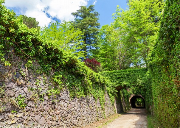 cobbled-streets-and-stunning-greenery-to-experience-at-your-leisure.jpg