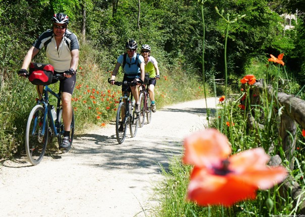 spello-green-heart-of-umbria-italy-self-guided-leisure-cycling.JPG