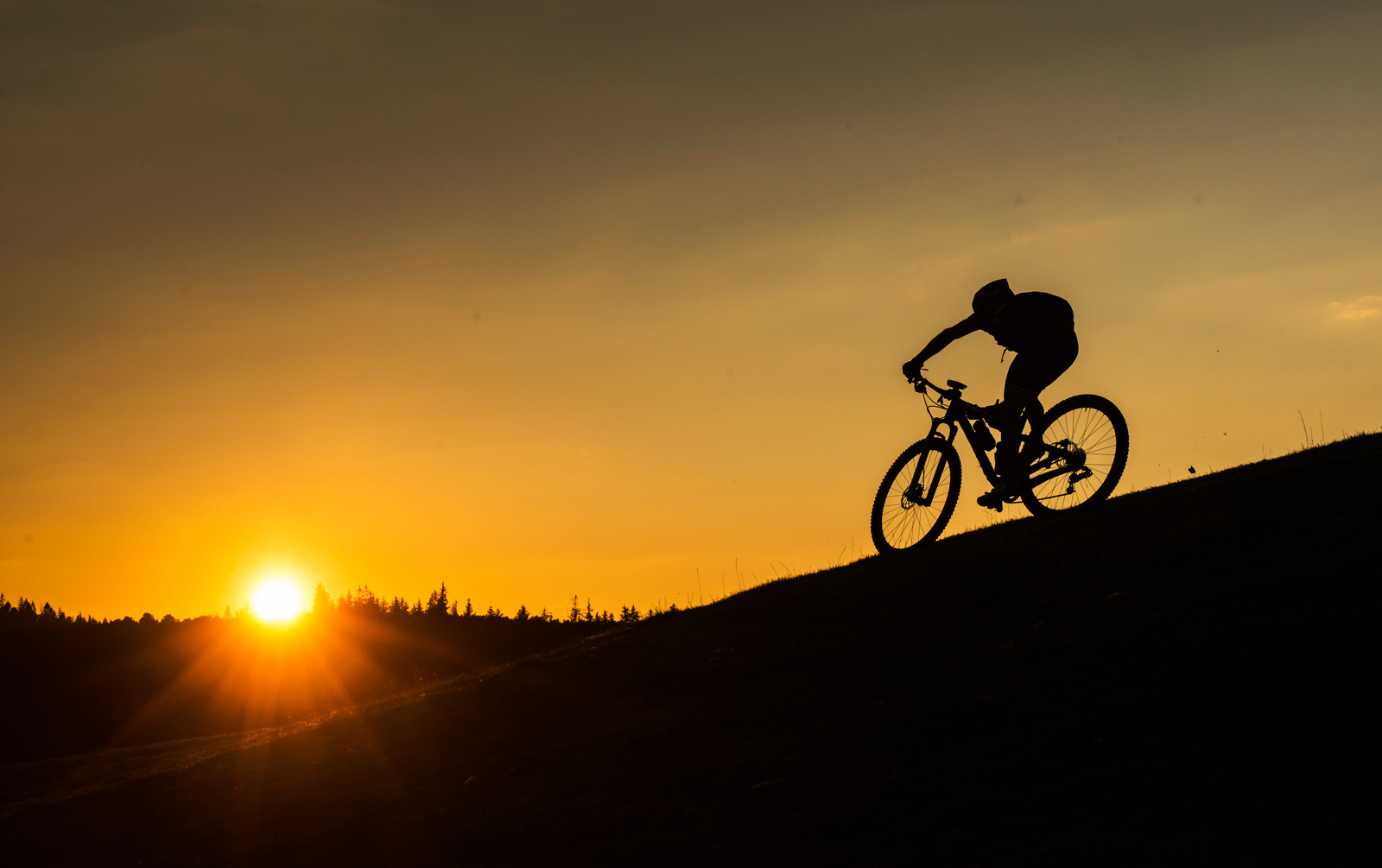 Mountain Bike Holidays in Northumberland Saddle Skedaddle