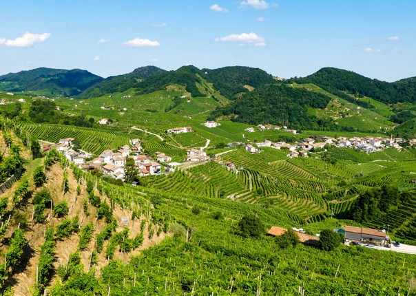 Valdobbiadine Vineyards.jpg