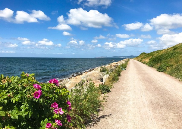 Sweden-Cycling-Holiday-Coastal-Kattegattleden-Cycling-Holiday14.jpg