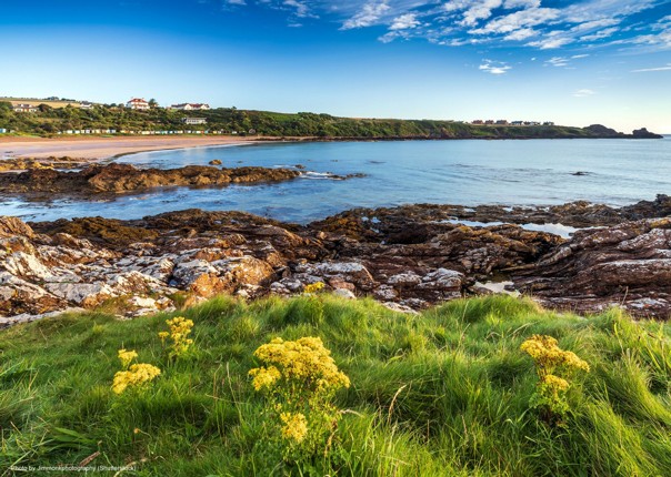 Coldingham-Bay.jpg