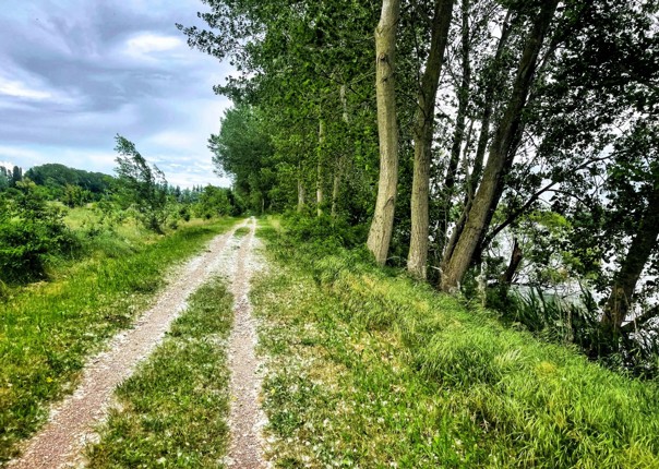 Gravel riding terrain in Veneto