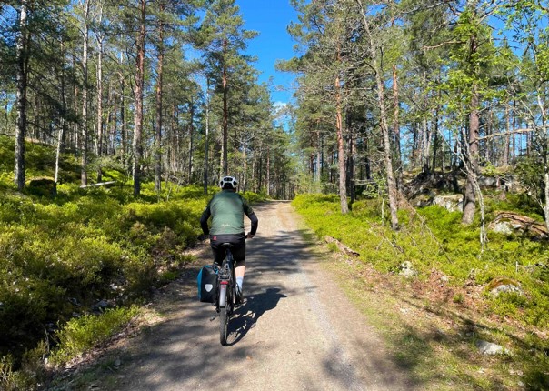 Male cyclist riding through forest trails in Sweden on an e-bike
