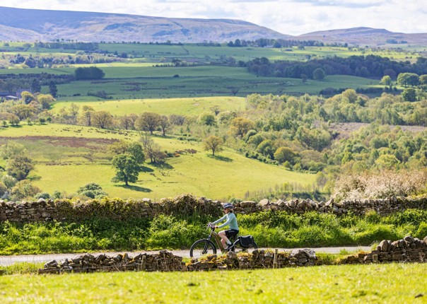 Female cyclist riding through rolling green valleys of Northumberland along the Hadrian's Cycleway route