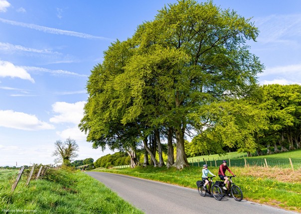 Cyclists on electric bikes riding past large trees along the Hadrian's Cycleway route