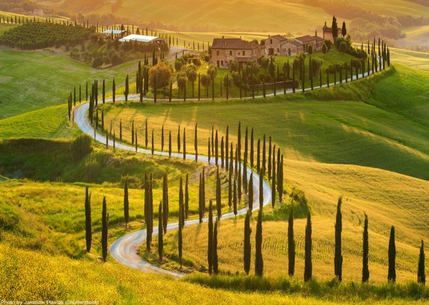 cypress-snakes-tuscany-leisure-bike-tour-self-guided.jpg