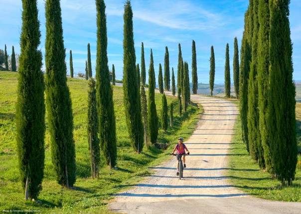 Female mountain biking in Tuscany past cypress trees in Tuscan landscape