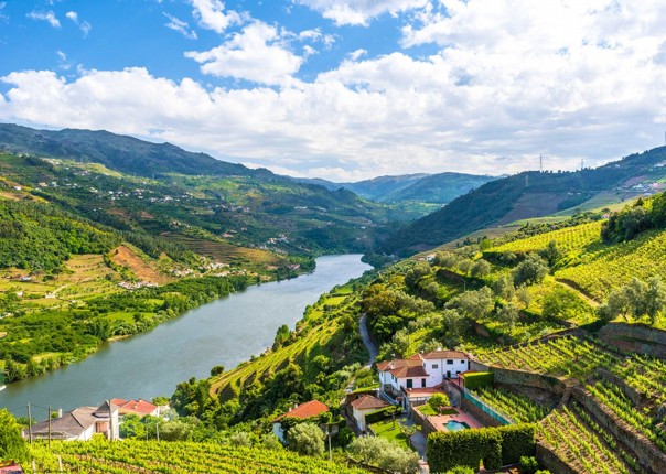 Scenic landscape of the Douro Valley in Portugal