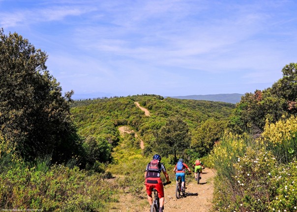Group of mountain bikers riding in Tuscany on a cycling tour