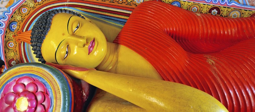 Located in the Indian Ocean, this underrated island is bursting with cultural wonder. Whether you're soaking up the ancient Buddhist temples or gazing in awe at the incredible local wildlife, we guarantee there's lots to get excited about here.