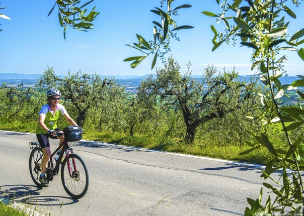 pisa-to-florence-leisure-holiday-saddle-skedaddle-italy.jpg