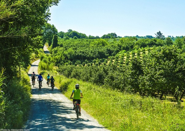 fun-happy-cycle-holiday-picturesque-tuscany-italy-saddle-skedaddle.jpg