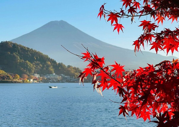 Japan-tour6.jpg