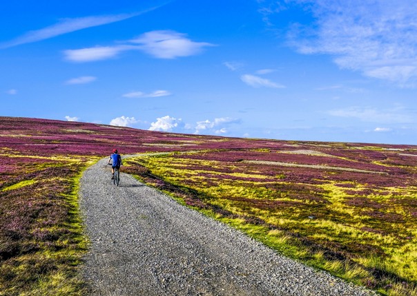 incredible-sights-uk-fields-cycling-holiday-fun.jpg