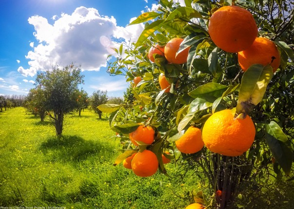 sicily self guided tour