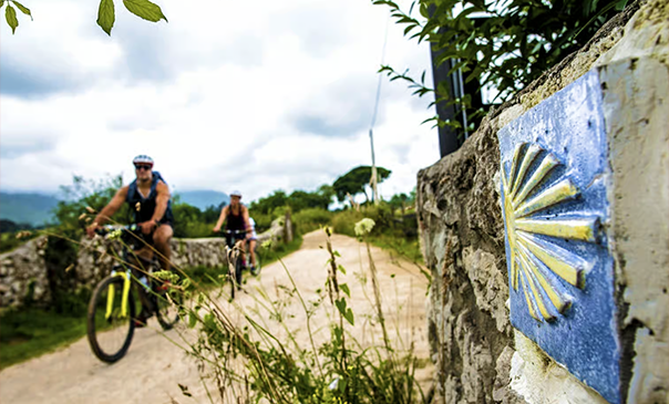 Camino De Santiago