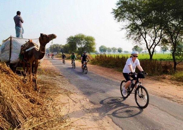India - Palaces and Lakes of Rajasthan - Cycling Holiday Image